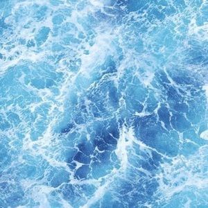 Meet your Posher, Evelyn